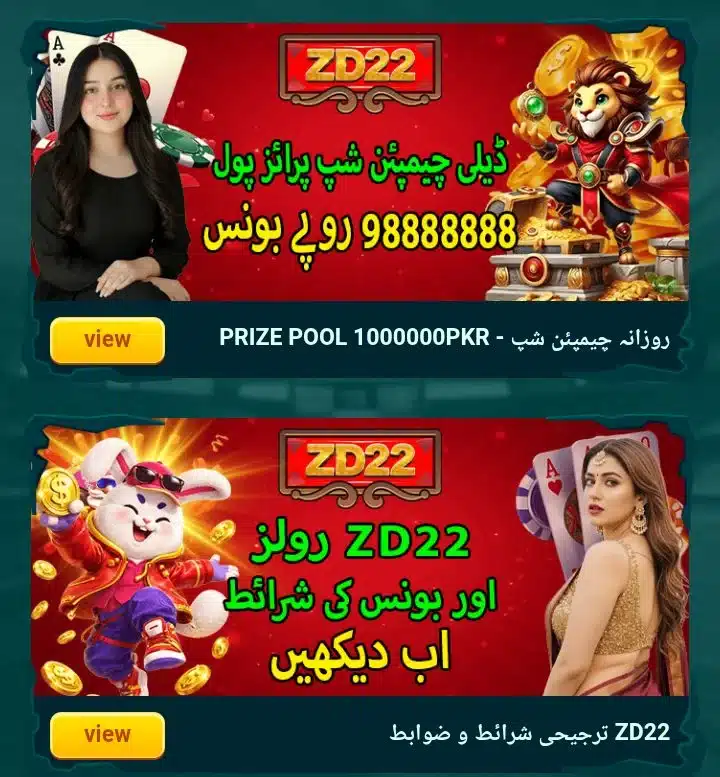 ZD22 Game official website Pakistan homepage preview